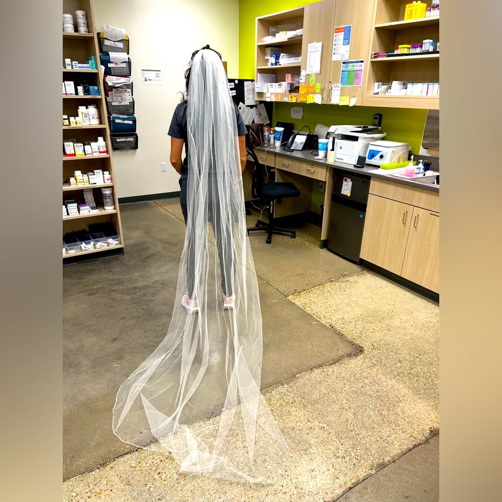 Beaded Mesh Bride’s Train